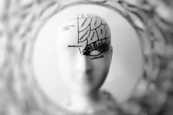 Améliorer mémoire et cognition : découvrez les équipements incontournables et logiciels d’entraînement cérébral