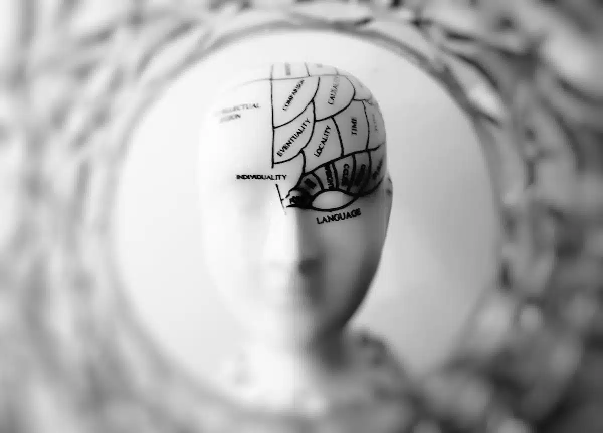 Améliorer mémoire et cognition : découvrez les équipements incontournables et logiciels d’entraînement cérébral