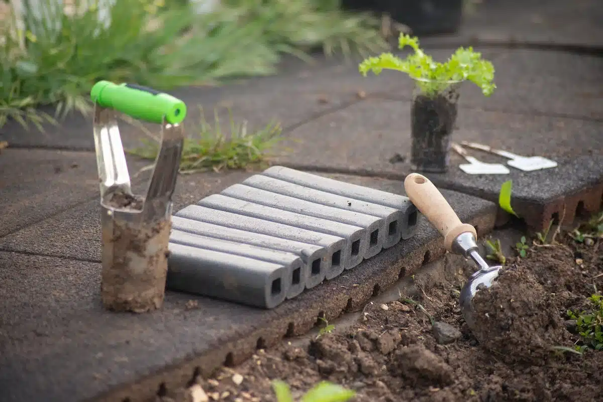 Les indispensables pour le jardinage des seniors : outils et équipements de qualité