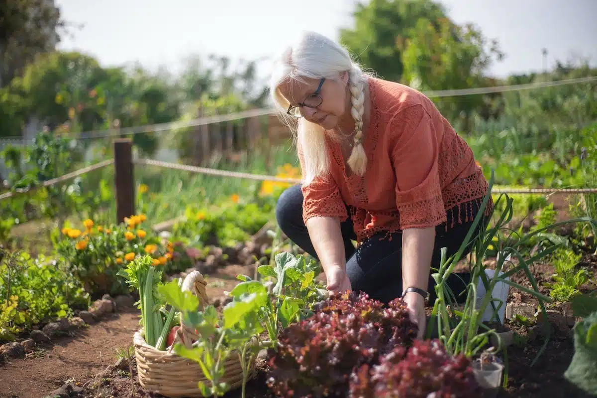 Les nombreux avantages du jardinage pour les personnes âgées