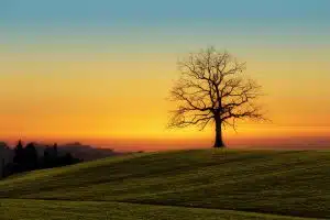 Surmonter la solitude dans la retraite : astuces et conseils pour rester connecté