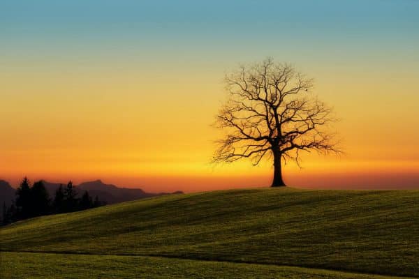 Surmonter la solitude dans la retraite : astuces et conseils pour rester connecté