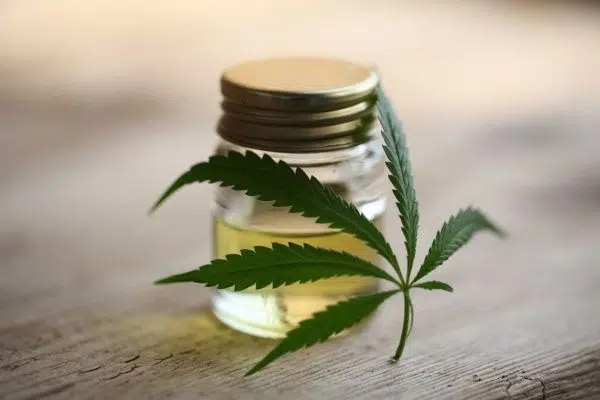 Pourquoi opter pour le CBD ?