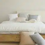 Comment réagir face à des punaises de lit ?