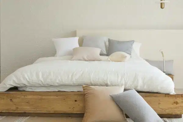 Comment réagir face à des punaises de lit ?