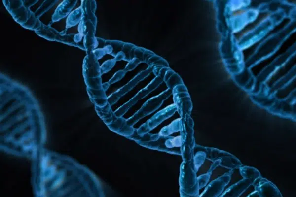 Est-ce que la maladie d’Alzheimer est génétique ?