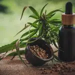 Huile de CBD : comment choisir ?