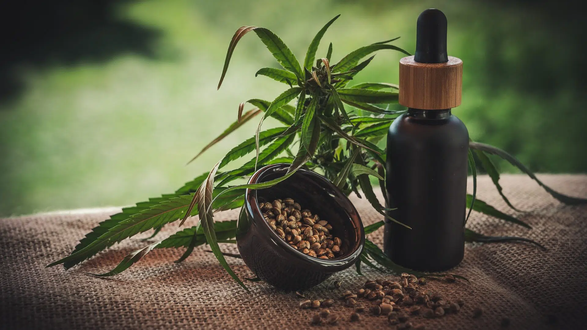 Huile de CBD : comment choisir ?